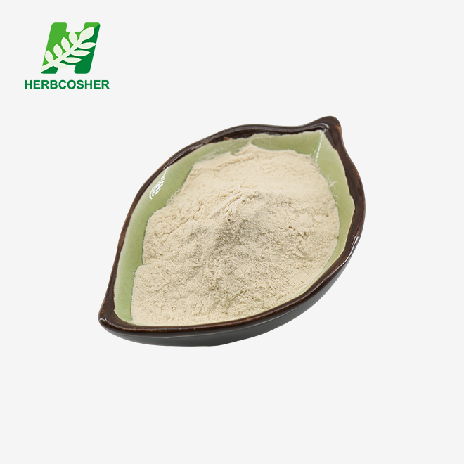 Wheat Oligopeptide Powder